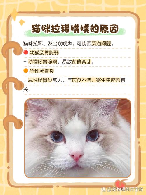 猫咪拉稀还发出噗噗的声音