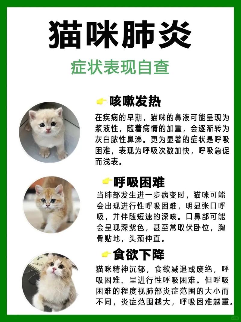 猫咪喝完水咳嗽的原因及处理方法