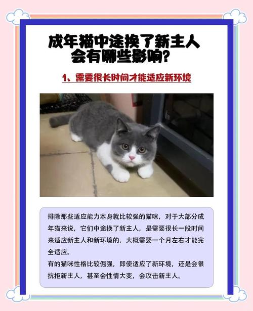 如果猫咪换了主人会怎么样?