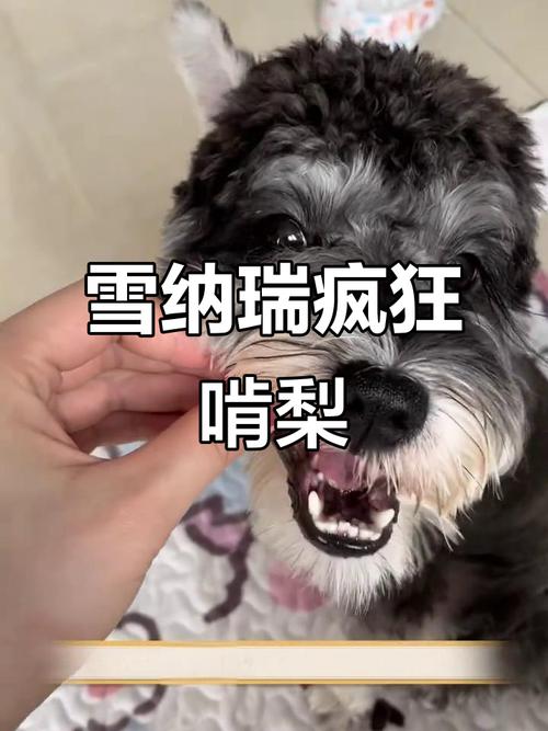 狗吃雪梨会怎么样?