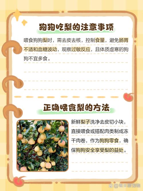 狗狗吃了雪梨会怎么样?