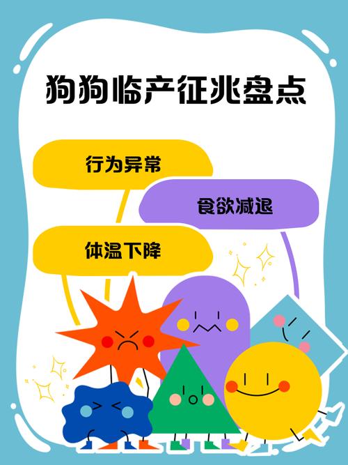 狗狗一直叫是否要生了怎么办,狗狗一直在叫是否要生了?