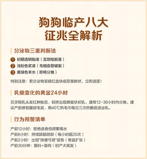 狗狗生产前一天的征兆