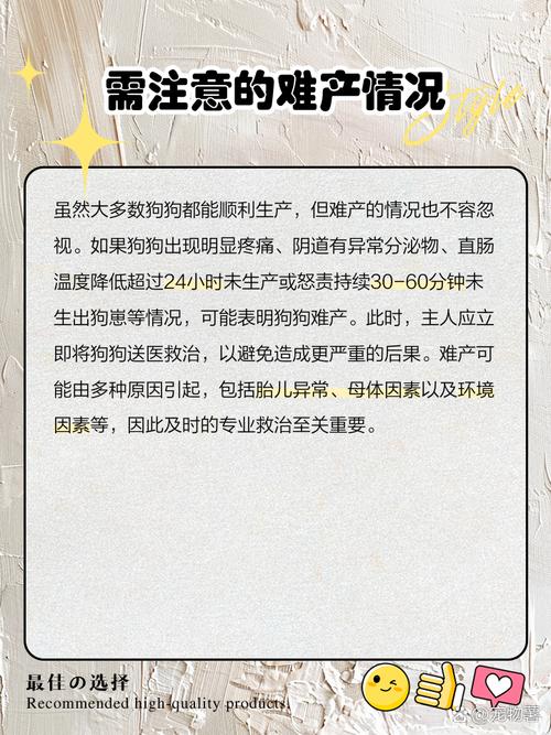 狗狗快生之前最明显的征兆