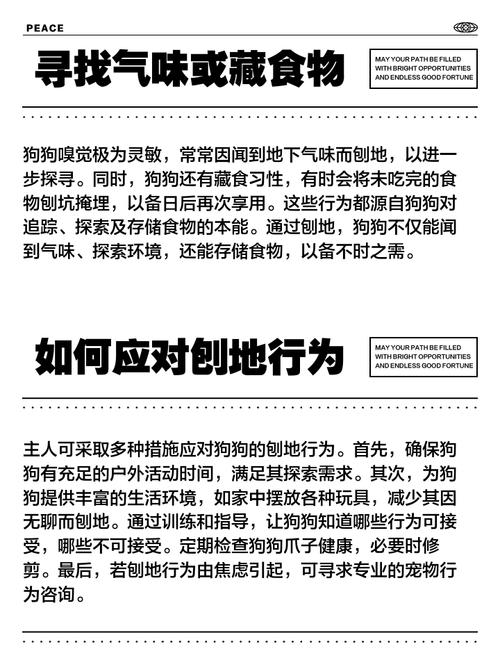 狗狗刨地板是什么意思?