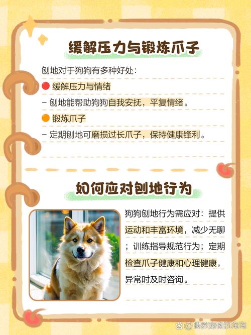 狗狗为什么要一直扒拉地板