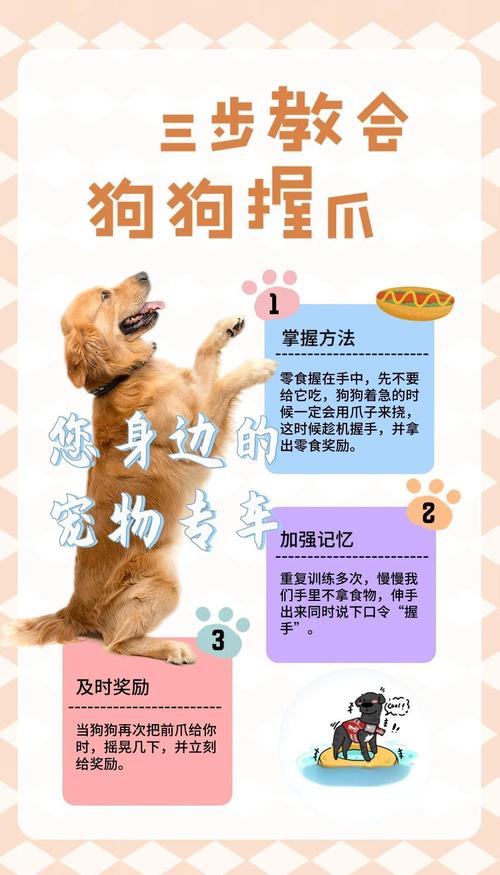 怎样快速教会狗狗握手?