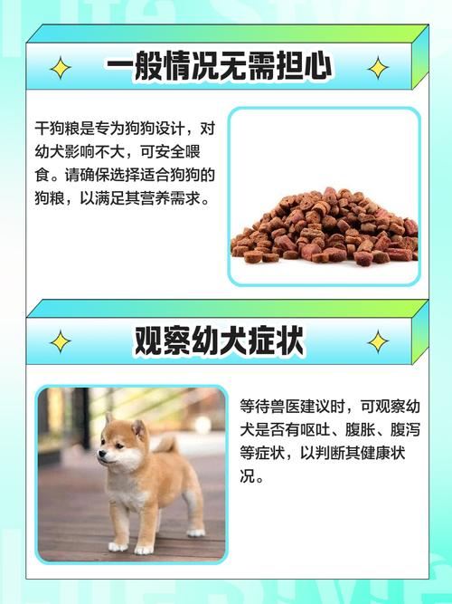 五个月的狗狗可以吃干狗粮吗