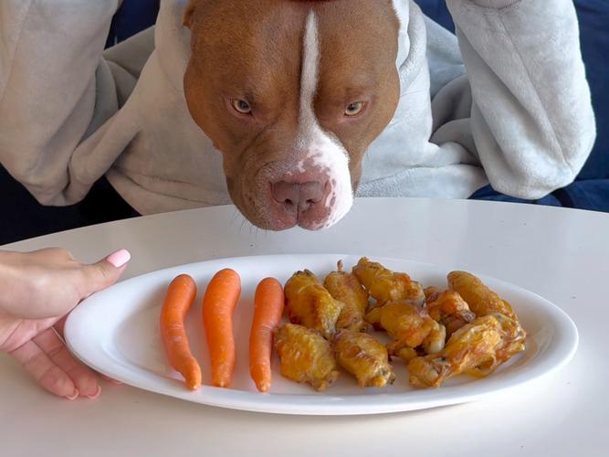 小狗可以吃生鸡翅吗