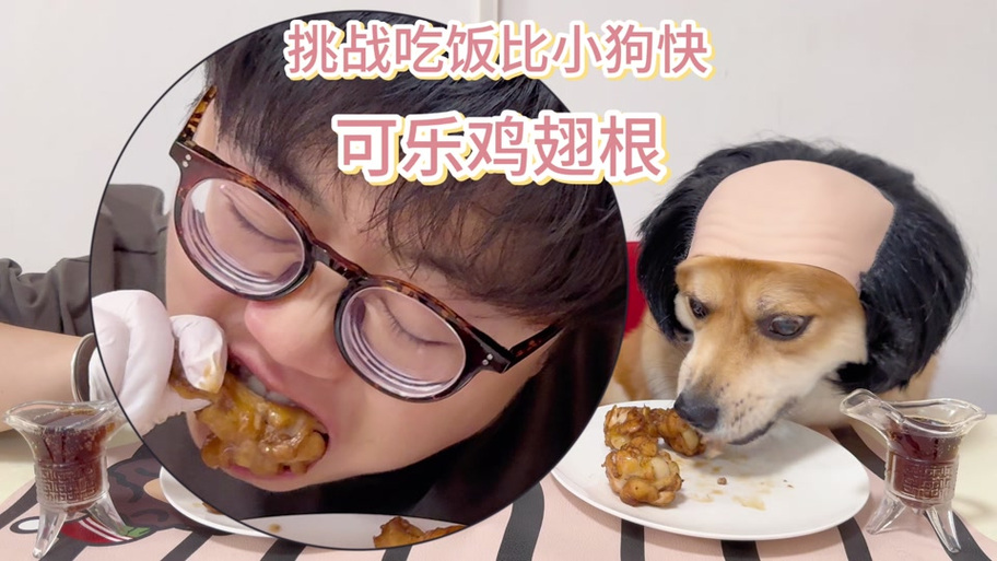 狗狗可以吃鸡翅吗