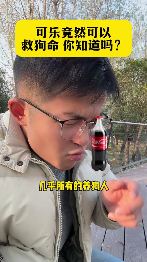 鸡翅狗可以吃吗