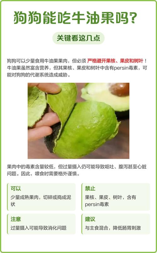 狗吃了牛油果多久发作