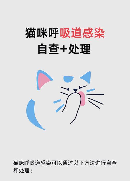 猫上呼吸道感染的症状