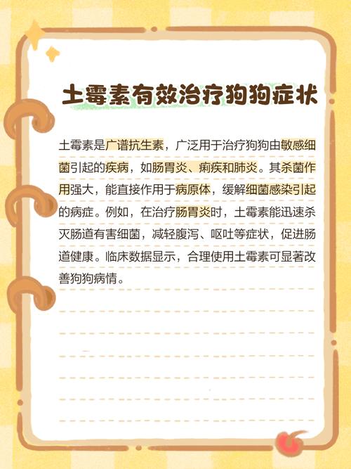 狗狗能吃土霉素吗?