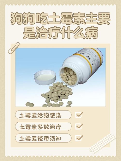 狗可以吃土霉素嘛?
