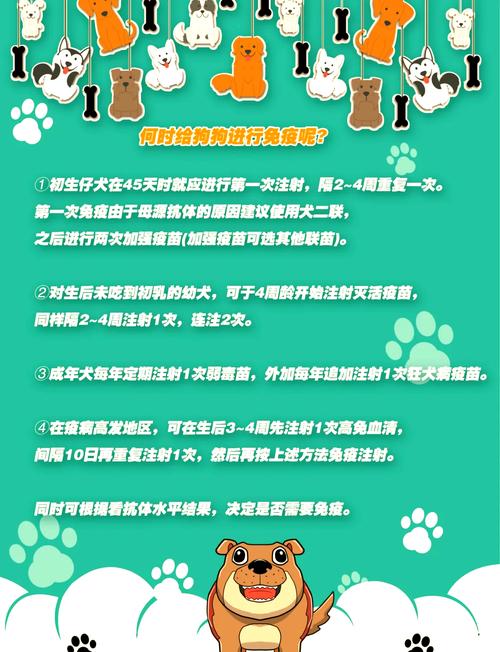 狗狗打疫苗在哪里打?