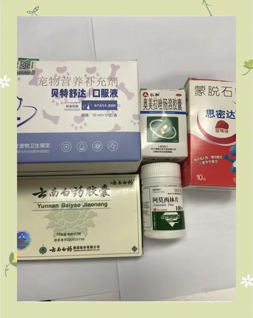 小狗拉肚子用什么药比较好