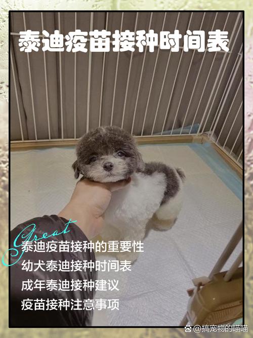 狗狗什么时候打疫苗比较好?