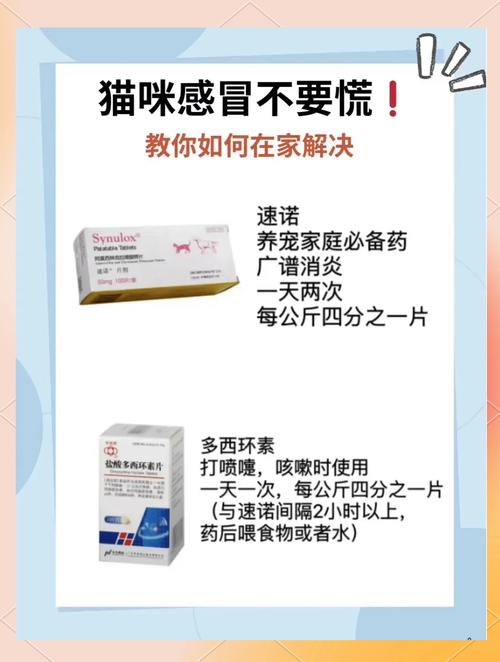 猫猫感冒吃什么药比较好?