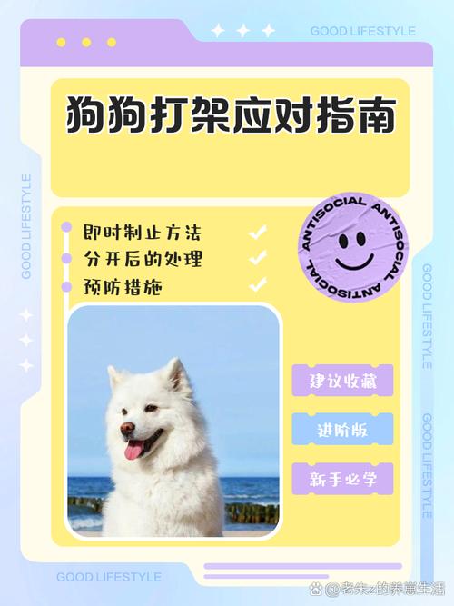 家里养了两只狗,总是一言不合就打起来,到底是什么原因?