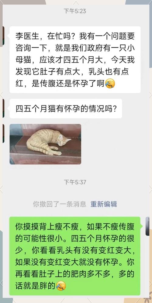 公猫最小几个月可以让母猫怀孕