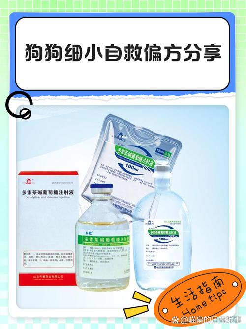犬细小病毒最佳治疗方法