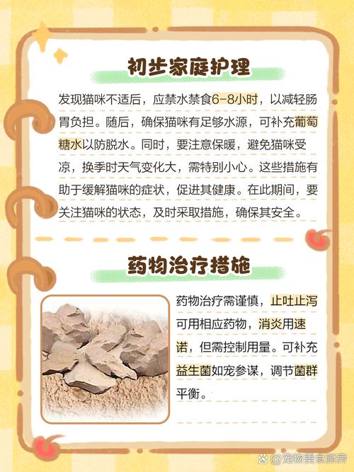 猫咪拉稀呕吐不吃饭没精神怎么办