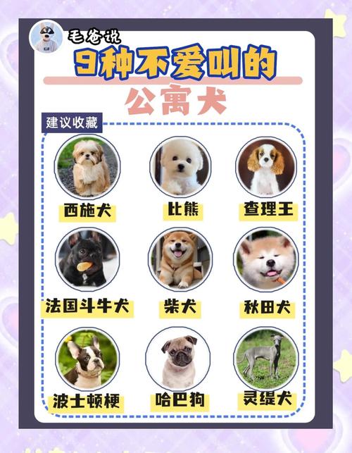 家养什么狗最干净比较好养