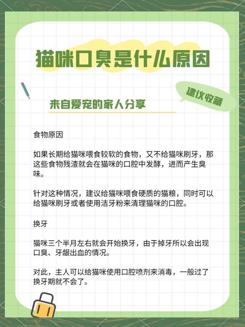 猫猫口臭都有哪些原因该怎么治疗?