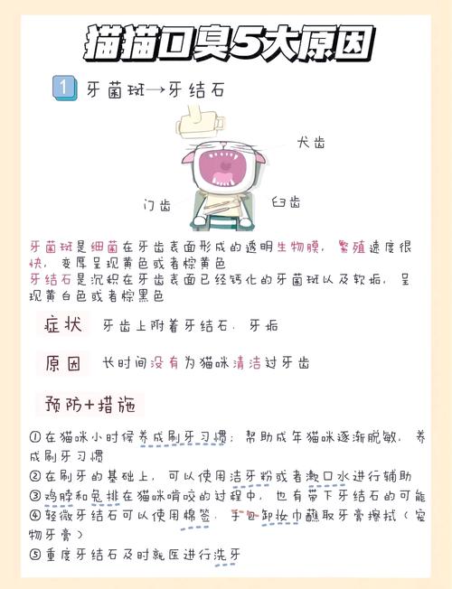 猫猫嘴巴为什么臭