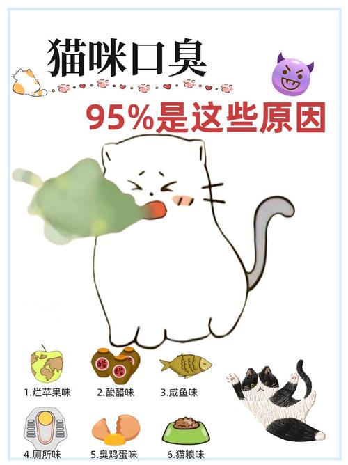 猫猫口臭怎么办