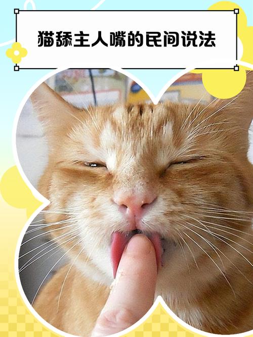 猫咪口臭原因,是因为什么