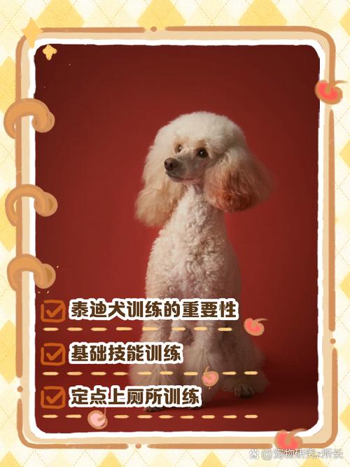 比特犬胆子小不开口怎么办