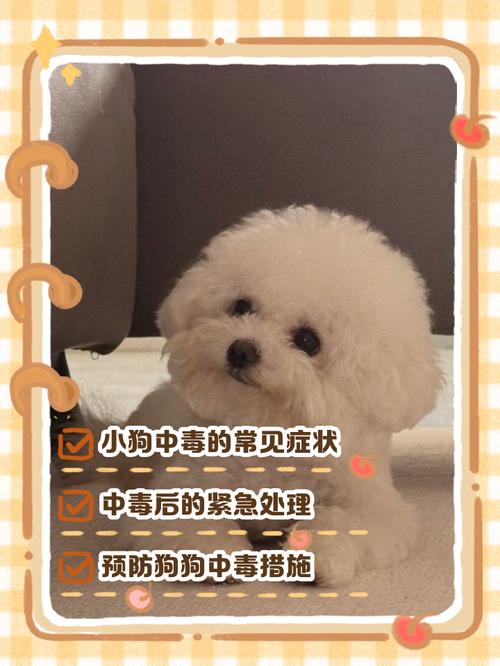 狗狗轻微中毒会自然恢复吗