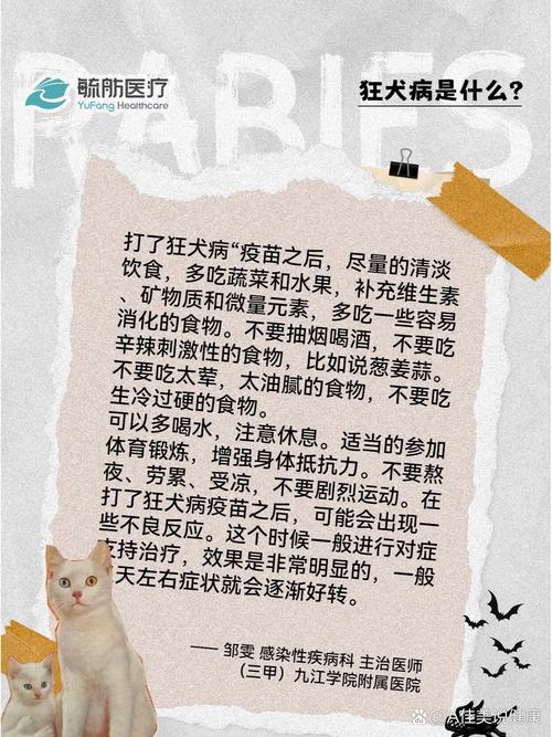 小狗打疫苗之前能吃饭吗?