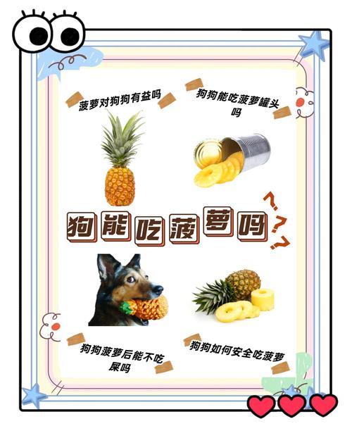 狗狗能吃菠萝蜜吗
