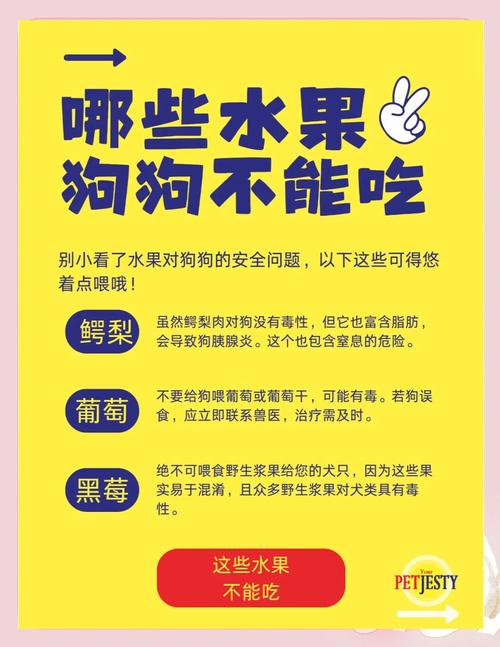 狗一般都不吃水果,如果喂一点菠萝蜜会怎么样?