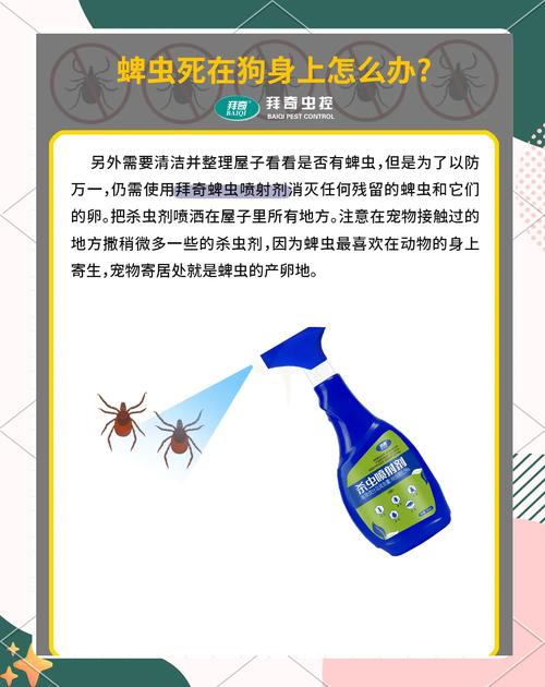 我家狗身上发现了透明的虫子,叮咬的很紧,是什么