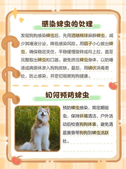 在小狗身上发现白色米粒大小的虫子,有的稍小,是什么东西?怎么办?_百度...