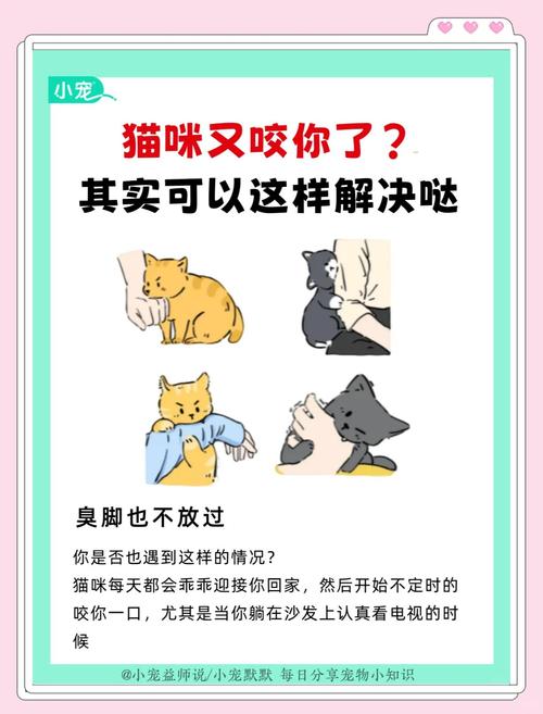 猫咪喜欢咬人是为什么呢?