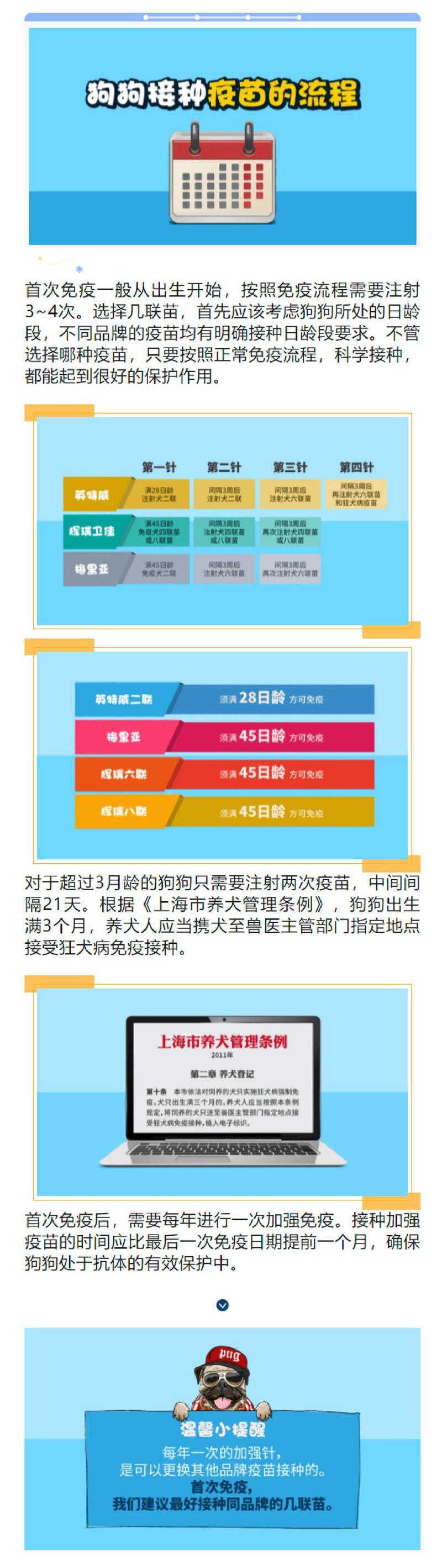 给狗狗打针要花多少钱呢?