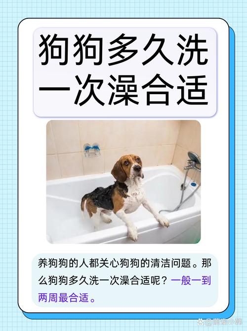 狗狗夏天多久洗澡一次