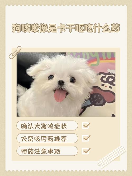 狗狗总是干呕怎么回事