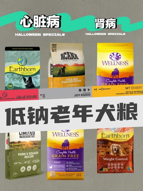 老年犬食欲不好吃什么