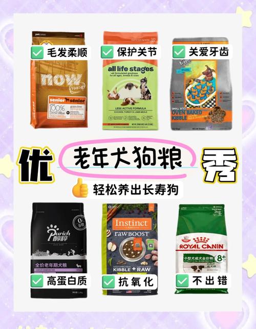 老年狗狗吃什么好