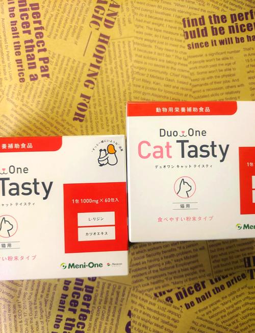 猫咪感冒吃啥药好得快