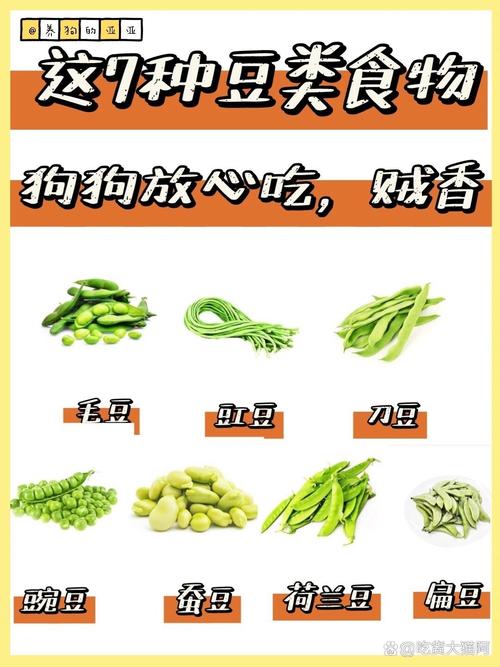 小狗能吃江豆吗?求回答