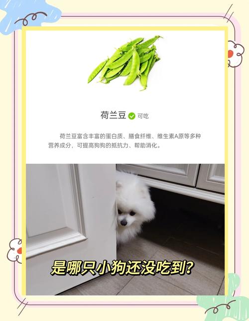狗狗能不能吃豇豆