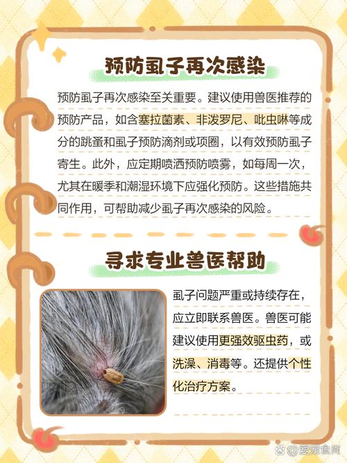 养的猫长虱子,怎样治猫虱子?
