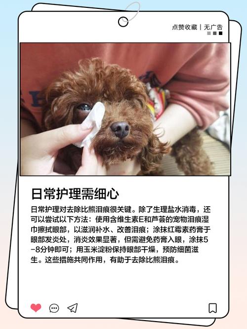 狗狗泪痕怎么去掉